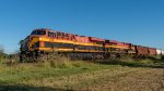 SB KCS Grain Train on the UP Brownsville Sub